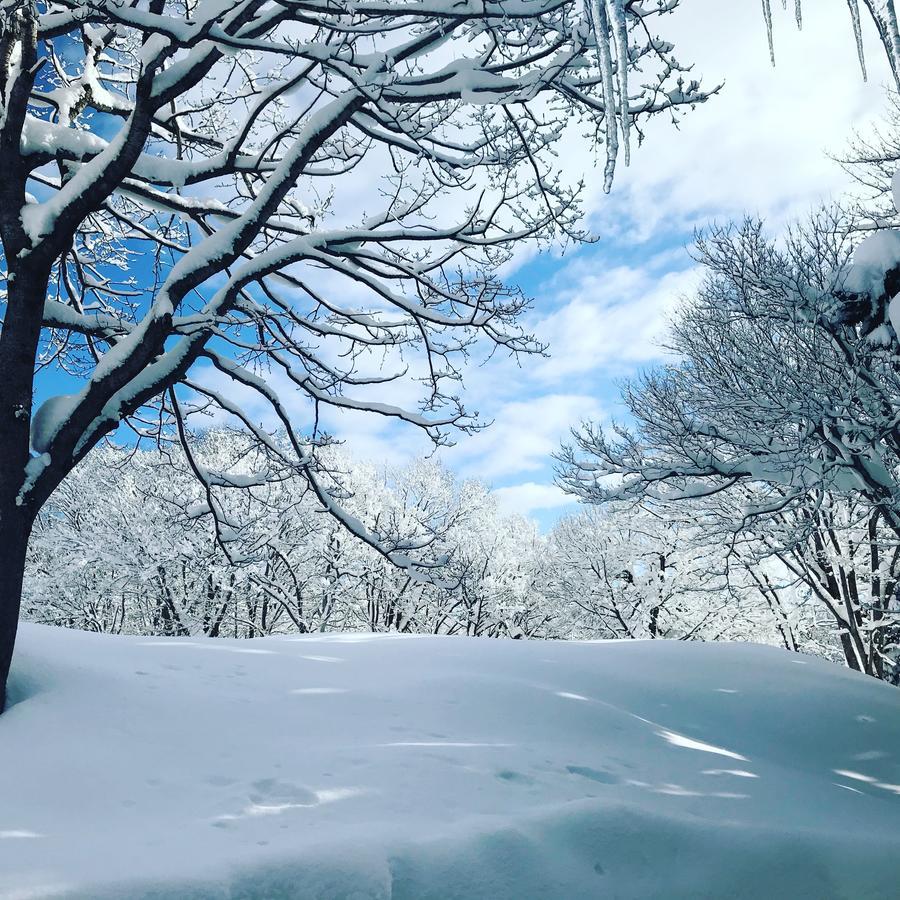 Base Camp The Lodge Myoko Εξωτερικό φωτογραφία